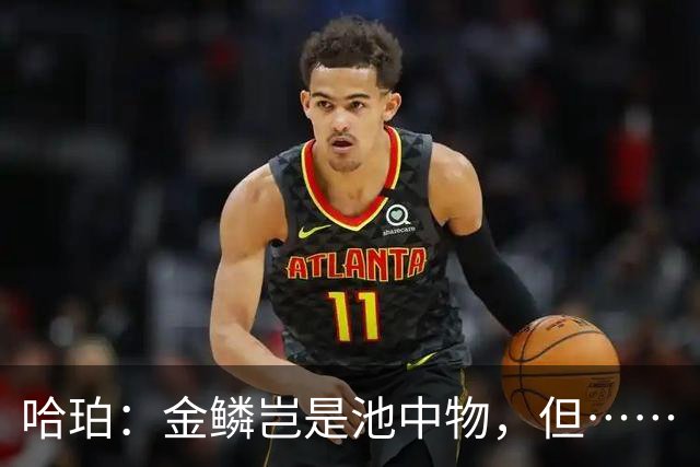 哈珀：金鳞岂是池中物，但……